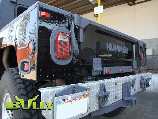 Nutech BullyLiner Photo