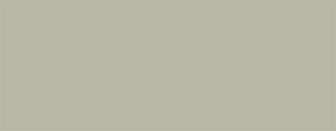 01-bone-white