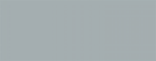06-gull-grey