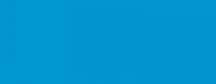 22-bleu