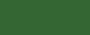 G23 Shamrock
