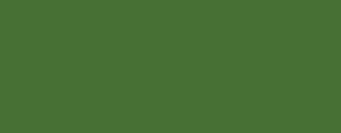 G24 Fern-Tree