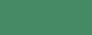 G31 Vertigris