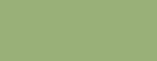G44 Plam-Green