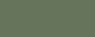 G52 Eucalyptus