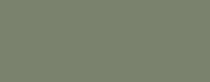 G54 Mist Green