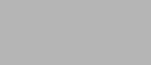 Squirrel - Mid grey